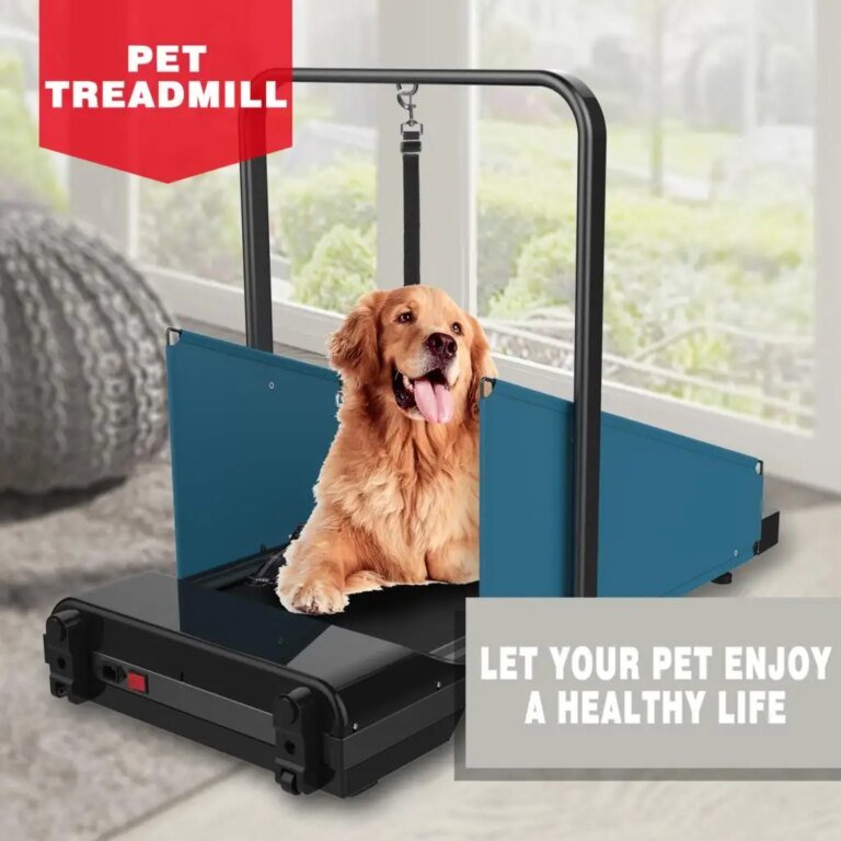 Dog Treadmills